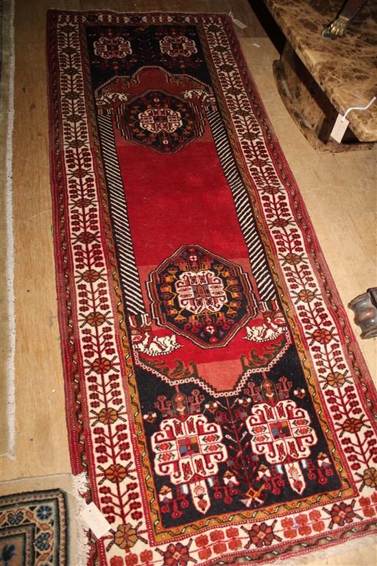 Turkish red ground runner